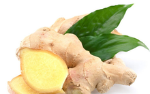 Gừng - Vị thuốc đa dụng trong mùa mưa lũ