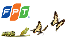 Sau 29 năm là công ty "bán buôn-bán lẻ”, giờ đây FPT mới thực sự trở thành công ty công nghệ nhờ một quyết định nhỏ