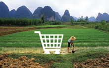 Cuộc chơi thương mại điện tử cho nông thôn bắt đầu nóng