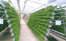 Bộ Nông nghiệp chỉ thị ưu tiên nhập khẩu công nghệ tiên tiến nhằm tiếp cận Công nghiệp 4.0