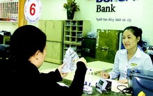 Hệ lụy “cắt phao” tín dụng ngoại tệ