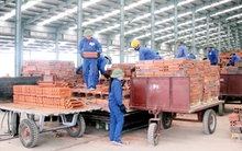 Viglacera Đông Triều vượt 73% chỉ tiêu lợi nhuận năm, vốn chủ sở hữu vẫn âm 20 tỷ đồng