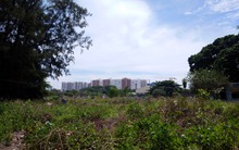 TP.HCM lập quy hoạch chi tiết khu nghĩa trang mới rộng gấp đôi nghĩa trang Bình Hưng Hòa