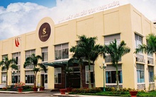 Bia Sài Gòn - Bạc Liêu sụt giảm mạnh doanh thu, lợi nhuận so với cùng kỳ