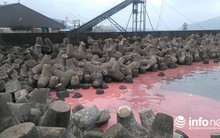 Thực hư chuyện biển Vũng Áng xuất hiện dải nước màu đỏ