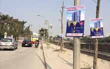 Chung cư, biệt thự hết thời rủ nhau “leo” cây xanh, cột điện