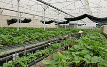 Lâm Đồng kêu gọi đầu tư vào 53 dự án