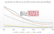 Doanh nghiệp “vàng trắng” được mùa