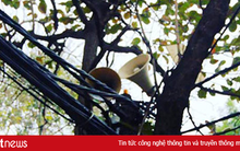 Hà Nội lấy ý kiến người dân về “số phận” của hệ thống loa phường