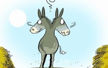 Vì sao những người thông minh "làm việc ít - hiệu quả nhiều", còn bạn thì không?