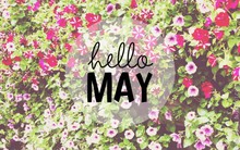 SSI Retail Research: Hiện tượng “Sell in May” có thể sẽ không xảy ra