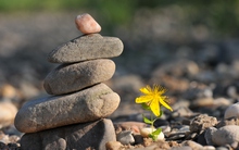 Đức Đạt Lai Lạt Ma giải thích vì sao điều đơn giản này lại là thuốc giải duy nhất cho sự đau khổ