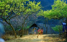 Quy hoạch Khu du lịch quốc gia Mộc Châu