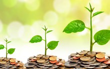 Điều gì đã khiến cổ phiếu penny đồng loạt “tăng bằng lần” chỉ trong thời gian ngắn?