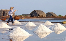 Kiểm soát chặt chất lượng muối nhập khẩu