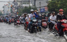 TP.Hồ Chí Minh tăng tốc thực hiện cơ chế đặc thù