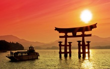 Cuộc ‘hồi sinh’ của Trà bí đao Wonderfarm và tầm nhìn xa của người Nhật trong câu chuyện đi thuê đất bỏ không 5 năm ở Trung Quốc