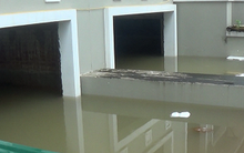 Nước ngập biệt thự như bể bơi, dân lắp máy bơm công suất lớn hút nước cứu đồ đạc