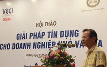 TS. Lê Xuân Nghĩa: 4 rủi ro cho doanh nghiệp vay vốn, cán bộ tín dụng ngân hàng cần quan tâm