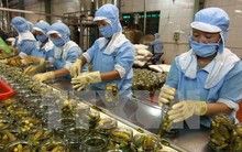 Nhiều doanh nghiệp Việt xuất khẩu vào Mỹ bị hủy mã số kinh doanh