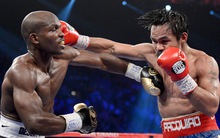 Phó Chủ tịch Sudico gia nhập HĐQT của Địa ốc Dầu khí, cổ phiếu PVL tăng trần liên tục