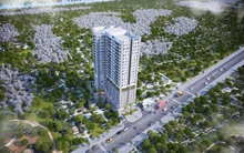 ĐHĐCĐ DRH: Kiên quyết từ bỏ kinh doanh phân bón, mua và làm hồi sinh hàng loạt dự án  BĐS