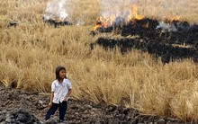 Thời tiết hè 2017: Nóng hơn, bão dị thường