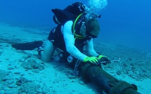 Cáp biển AAG lại gặp sự cố, nhà mạng trấn an khách hàng không lo Internet bị chậm