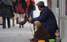 Cơn sóng ngầm trong lòng quốc gia giàu nhất Châu Âu