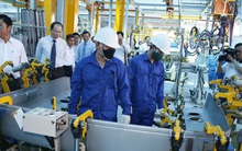 Hơn 180.000 cử nhân thất nghiệp