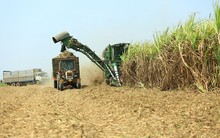 Ngành đường lại kêu cứu