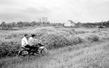 TP.HCM: Quy hoạch dự án "treo" vẫn còn nhức nhối