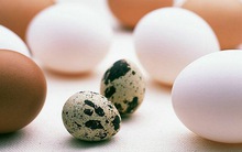 10 cách chế biến trứng cút khiến món ăn trở thành vị thuốc bổ