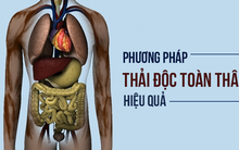 Chúng ta cần thải độc toàn bộ cơ thể bằng cách nào? Đây chính là giải pháp!