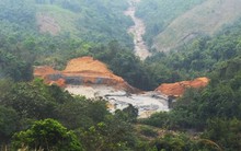 Vỡ đập chứa bùn thải: Cá chết đồng loạt, hàng ngàn hộ dân lo lắng