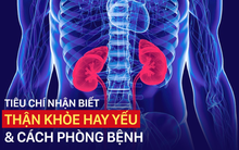 Tiêu chuẩn của một người sở hữu thận khỏe, hãy xem ngay để biết bạn thế nào!