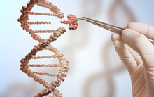 "Cut - Paste" phương pháp có thể loại bỏ được hoàn toàn virus HIV