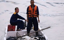 Hà Nội: Sau đúng 1 năm, cá lại chết trắng mặt hồ Hoàng Cầu