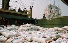 Ai gây ra sai phạm hàng nghìn tỷ đồng tại Vinafood 2?