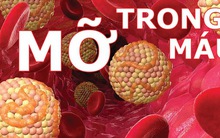 Không phải thuốc hay cao lương mĩ vị, 4 món dân dã này sẽ "đánh bật" bệnh mỡ máu cao