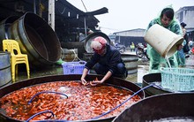 Chợ cá vàng lớn nhất Thủ đô tấp nập trước ngày ông Táo