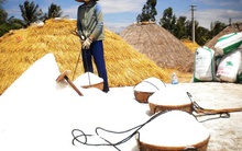 Làm gì để giải cứu diêm dân?