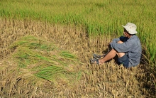 "Cứ quy hoạch theo kiểu mạnh ai nấy làm thì tiếp tục tan nát đồng bằng”