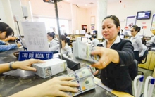 Điều hành tỷ giá ngày càng linh hoạt