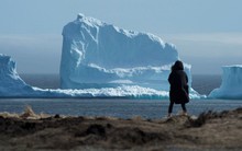 Chia sẻ của CEO khởi nghiệp 10 lần thất bại 4: Hãy là viên bi sắt, đừng là tảng băng trôi!