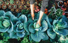 10 cách dễ dàng để bạn nói KHÔNG với 'vị khách tử thần' mang tên ung thư