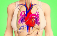 Trước khi xảy ra đau tim tầm 1 tháng thường có 8 dấu hiệu sau: Bạn cần biết mà phòng tránh