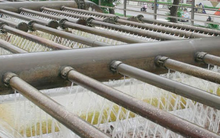 Nhựa Đồng Nai đặt mục tiêu 120 tỷ đồng lợi nhuận năm 2017, trình phương án tăng vốn điều lệ lên 500 tỷ đồng