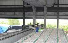 XNK Quảng Bình (QBS) đặt mục tiêu đạt 3.900 tỷ đồng doanh thu 2017, thoái vốn tại DAP Vinachem