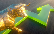 Apax Holdings chính thức công bố tham vọng sở hữu chi phối Apax English